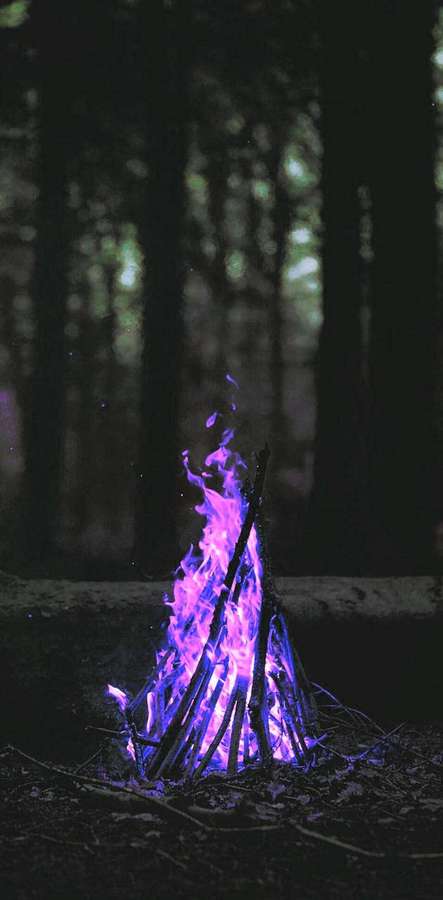 Purple campfire glowing in a dark forest at night. — Purple Fire Wallpaper