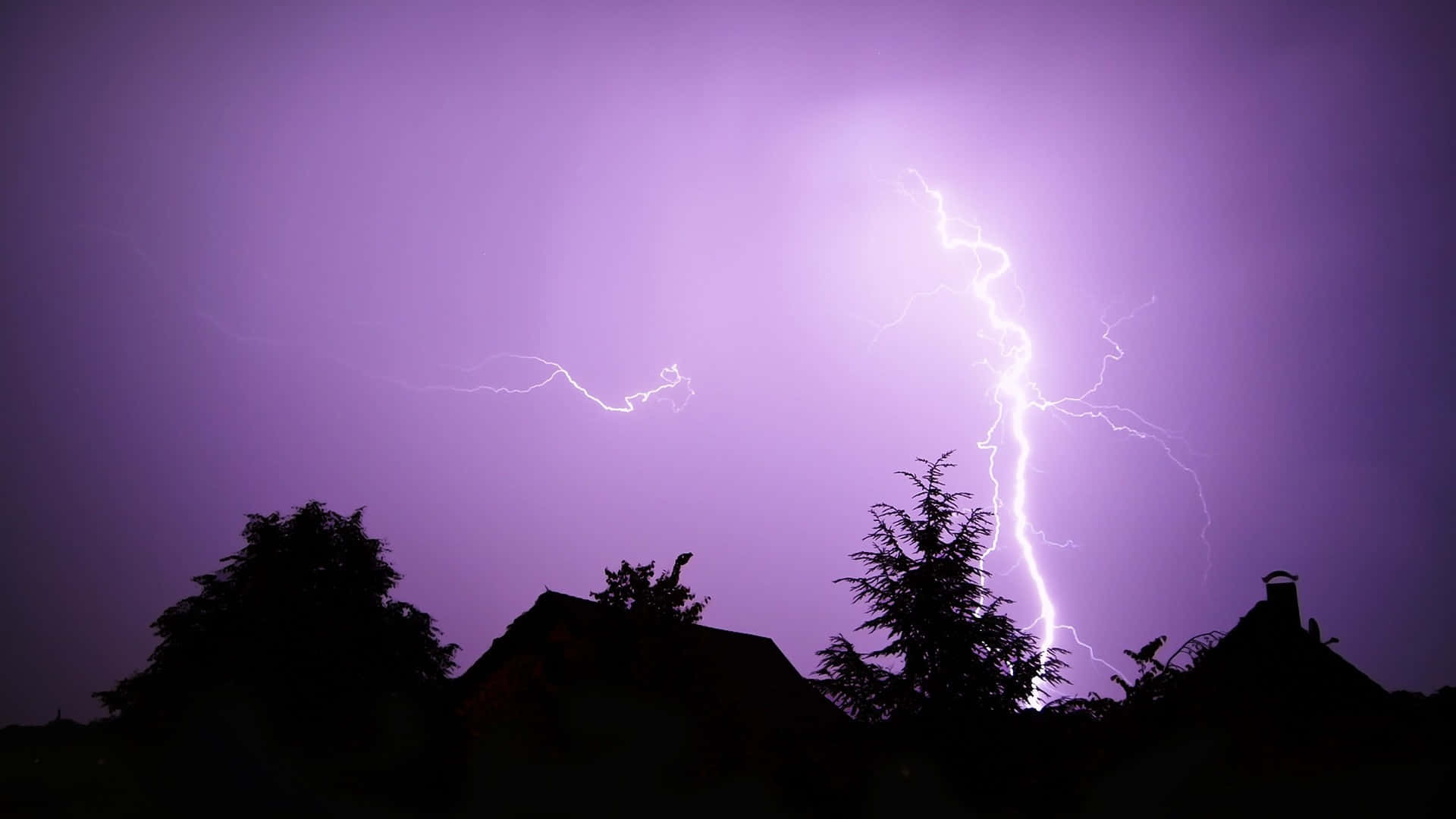 Purple Lightning Wallpaper