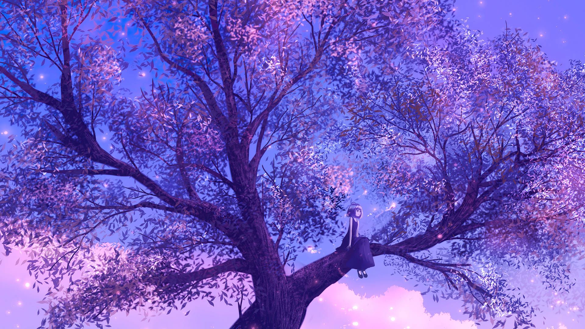 Anime Tree Wallpapers  Top Free Anime Tree Backgrounds  WallpaperAccess