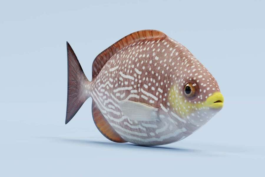 3D-renderöity kala, jolla on ruskeita ja valkoisia pilkkuja ja keltainen suu vaaleansinisellä taustalla. — Rabbitfish Taustakuvat