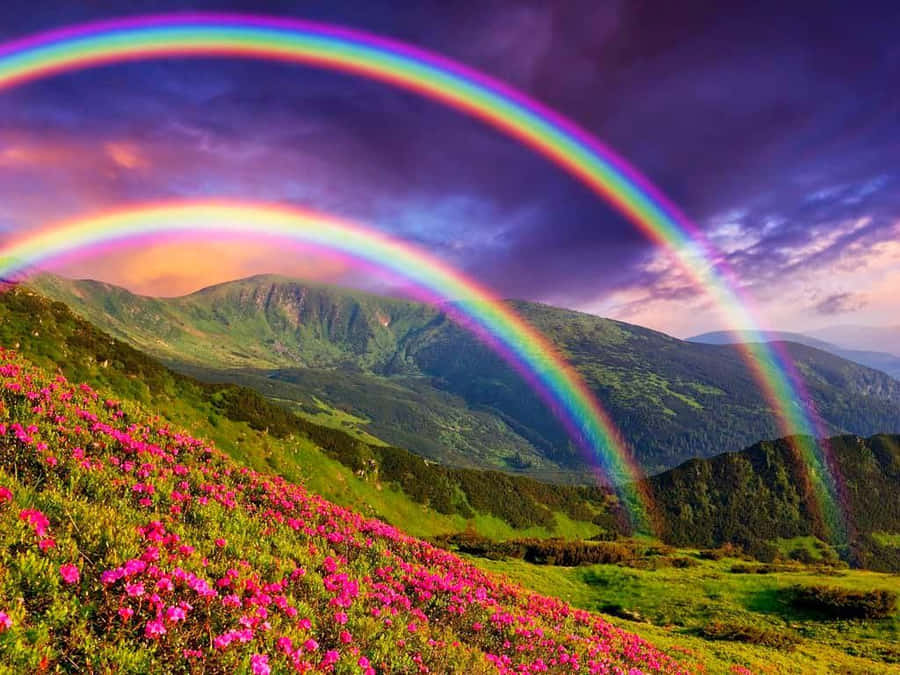 Rainbow Pictures Wallpaper