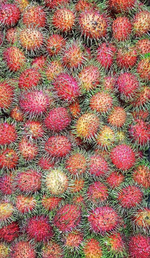 A pile of spiky red rambutans with green hairs. — Rambutan Wallpaper