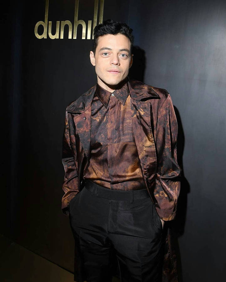 Rami Malek Achtergrond