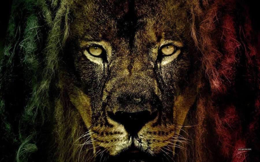 A male lion with intense eyes and a textured mane under dramatic green and red lighting. — Rasta Wallpaper