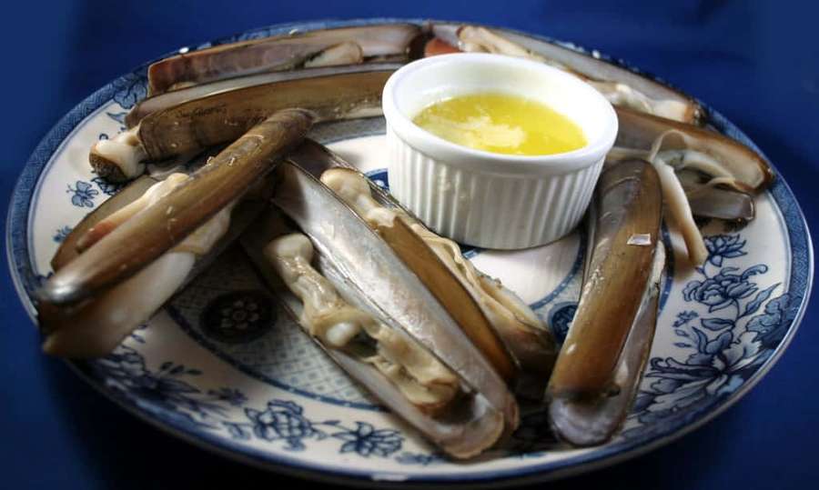 Färska knivmusslor med smält smör på en dekorativ tallrik. — Razor Clam Bakgrundsbilder