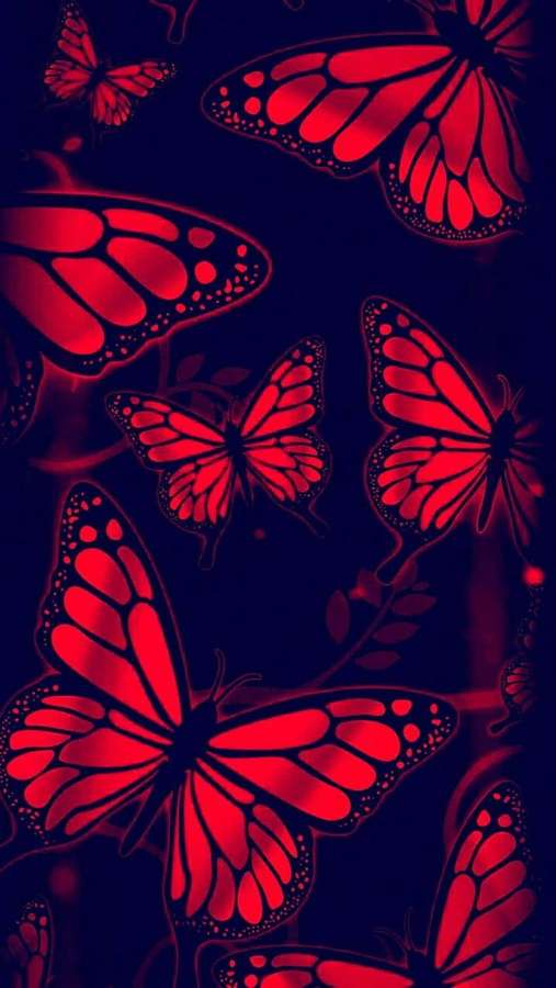 Red glowing butterflies on a dark background in digital art style. — Red Butterfly Background