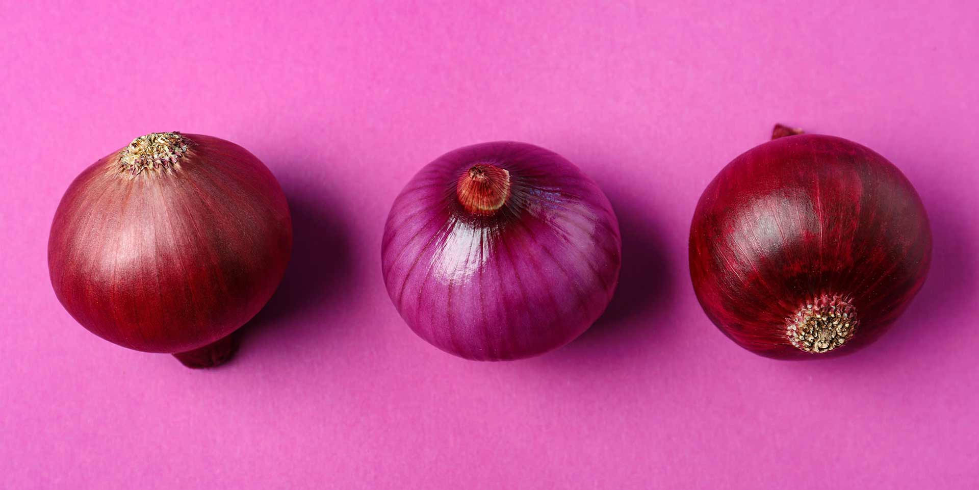 Red Onion Bilder