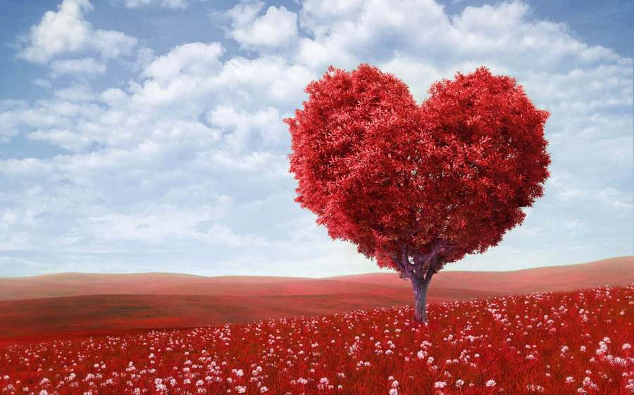 Heart-shaped tree in red field with white flowers under blue sky — Red Tree Picture