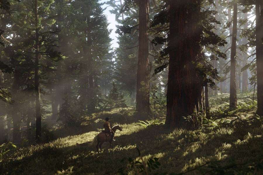 A lone rider on horseback traverses a misty forest bathed in golden sunlight. — Redemption Background