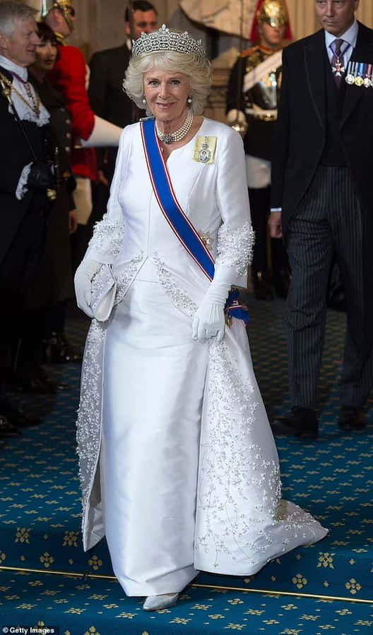 Regina Camilla Sfondo