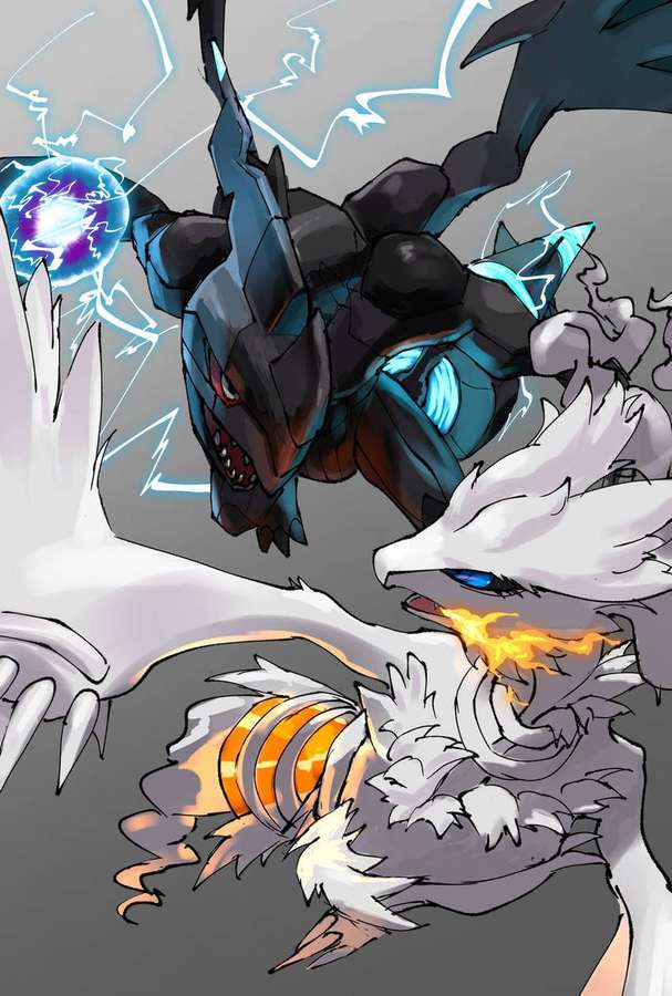 Two anime-style Pokémon—one dark blue with electricity, one white with fire—clash in an intense battle. — Reshiram Background
