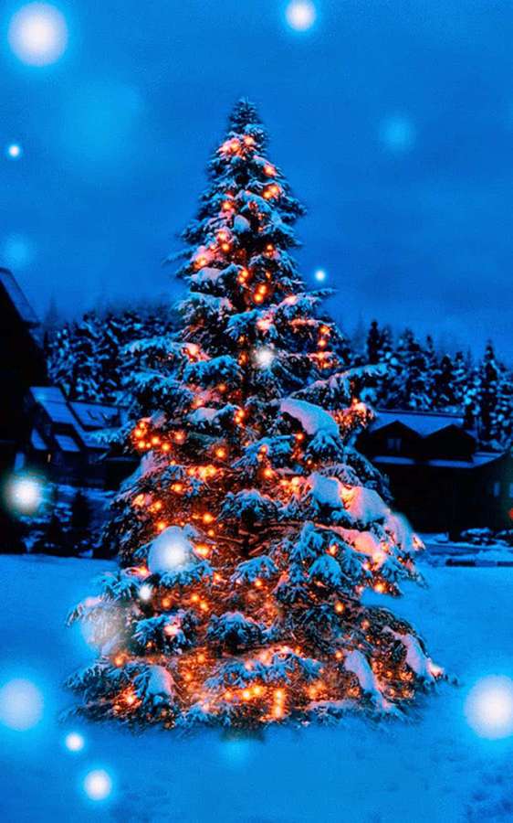 Árbol de Navidad nevado iluminado con luces cálidas en la noche invernal — Retrato Fondos de pantalla
