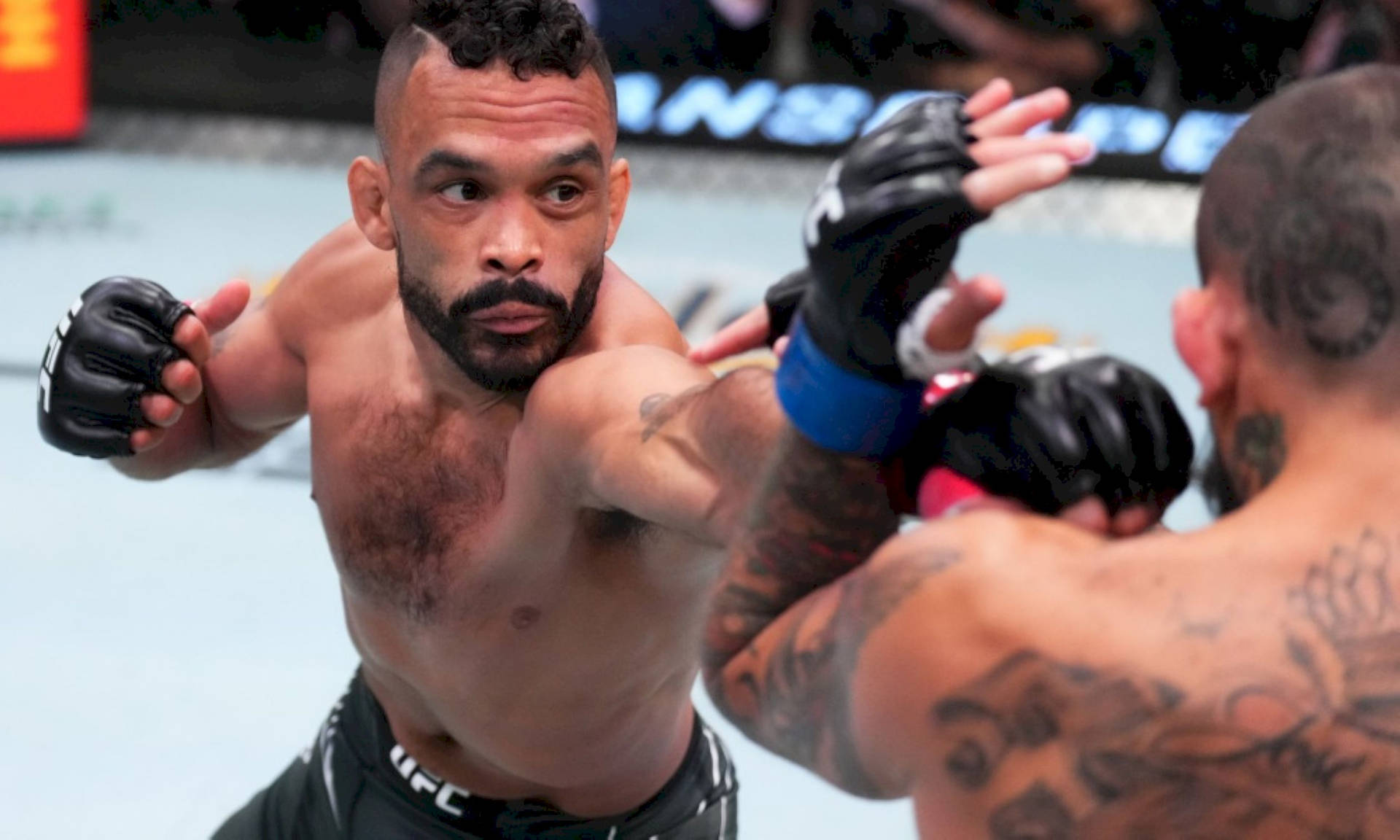 Rob Font Achtergrond