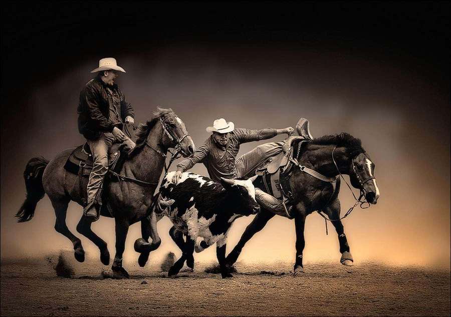 Dos vaqueros a caballo luchando con un ternero en una arena de rodeo polvorienta. — Rodeo Fondos de pantalla