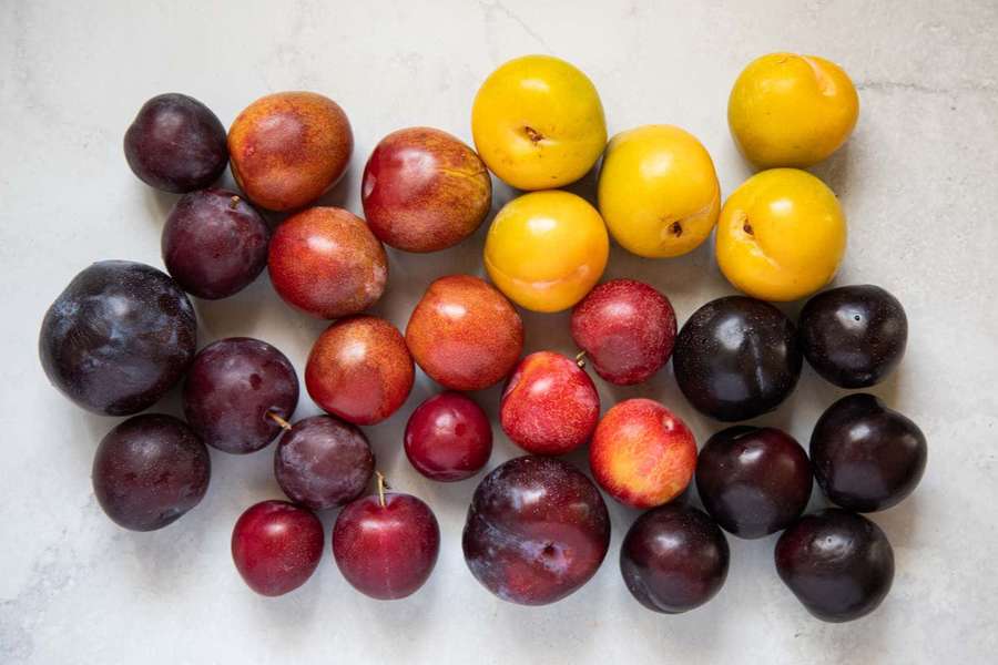 Un colorido montón de ciruelas y albaricoques frescos sobre un fondo de piedra clara. — Rojo Ciruela Fondos de pantalla