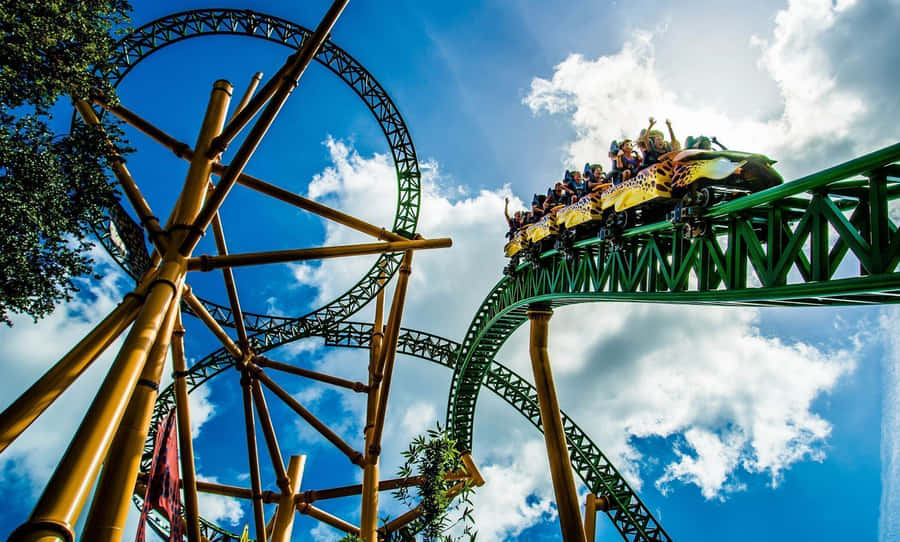 Roller Coaster Pictures Wallpaper