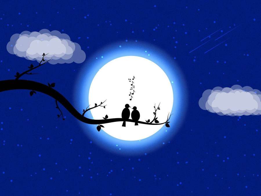 Two birds singing on a branch under a full moon at night. — Romantic Moon Wallpaper