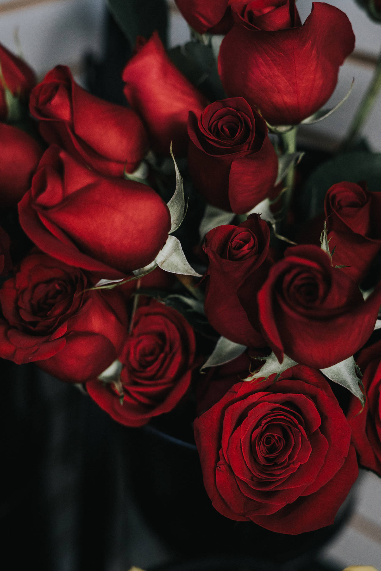 Romantisk Rose Billeder