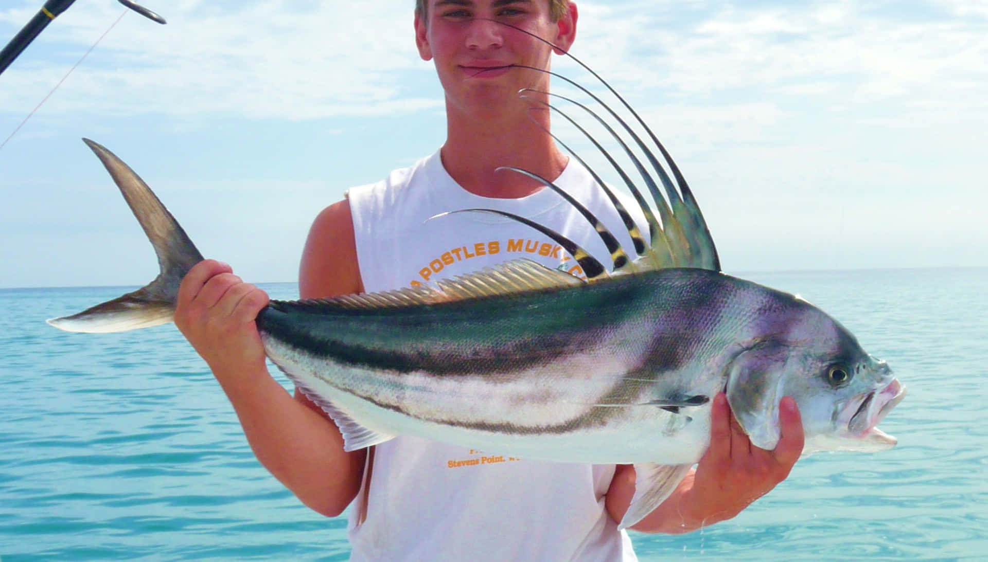 Roosterfish Achtergrond