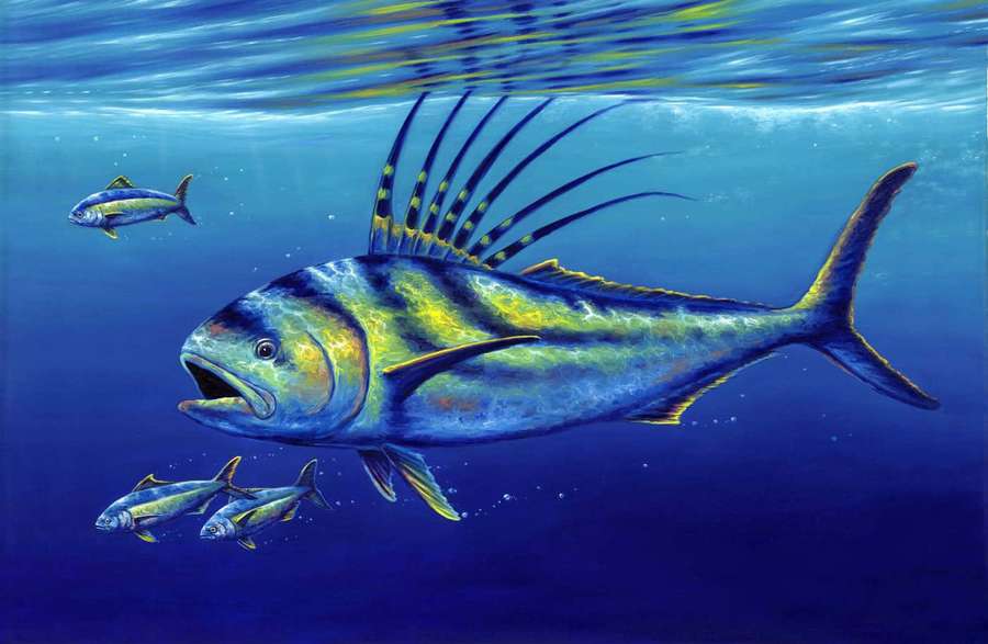 Ein großer Gelbflossen-Thunfisch schwimmt unter Wasser mit kleineren Fischen in der Nähe. — Roosterfish Wallpaper