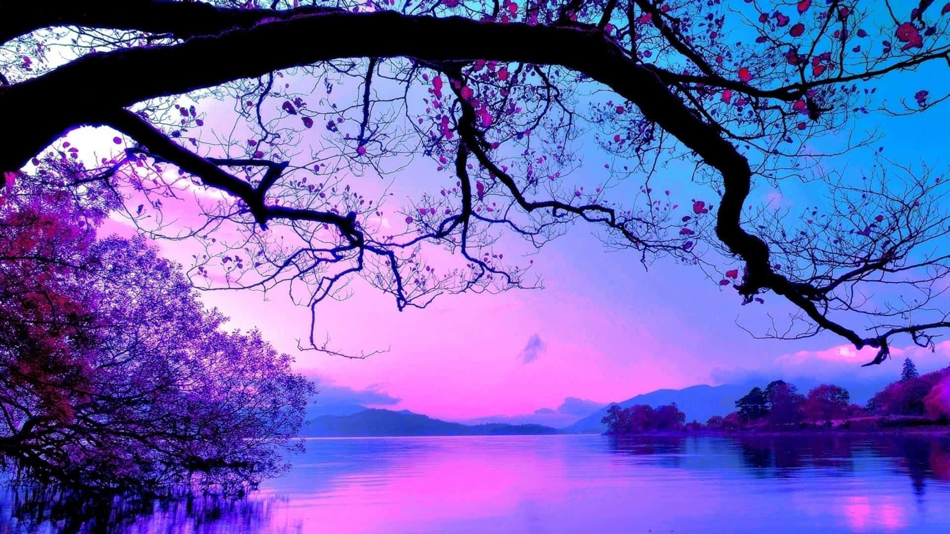 Ramas de árboles en silueta enmarcan un lago tranquilo que refleja un cielo crepuscular púrpura rosa. — Rosa Azul Fondos de pantalla