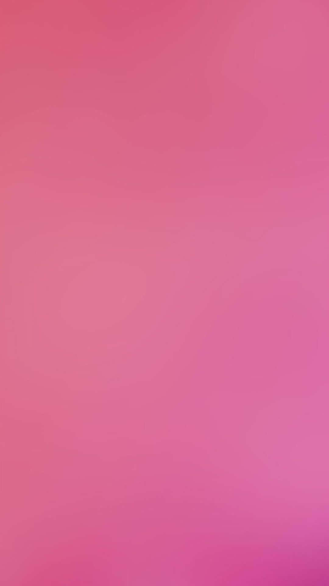 Rosa Simples Papel de Parede