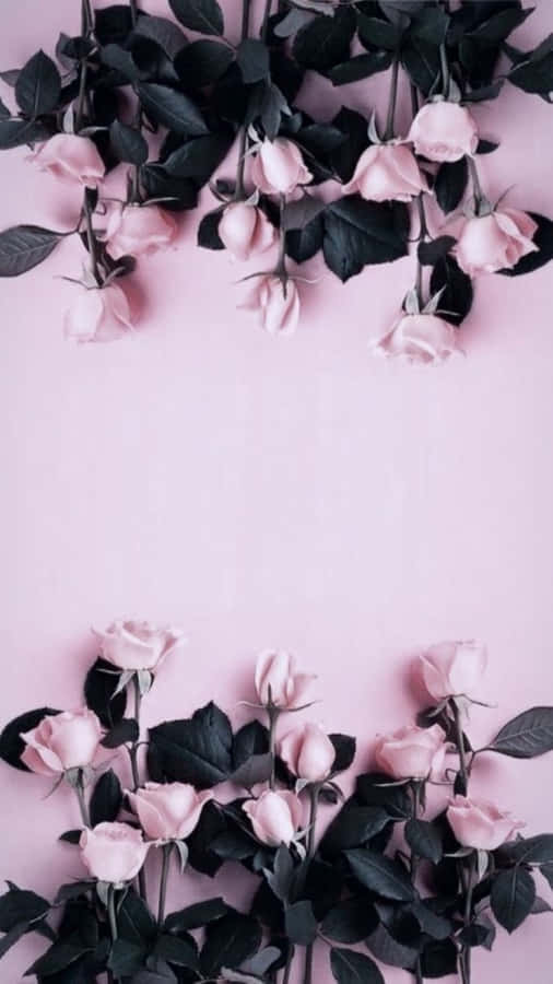 Rose Pattern Wallpaper