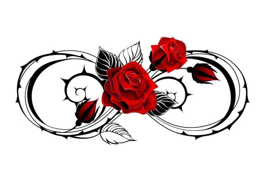 Red roses intertwined with a black and white infinity symbol with thorns. — Rose Symbol Wallpaper