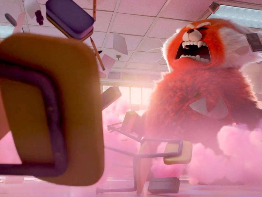 Wütender roter Panda zerstört Klassenzimmer mit fliegenden Stühlen und rosa Staub. — Rot Wird Rot Wallpaper