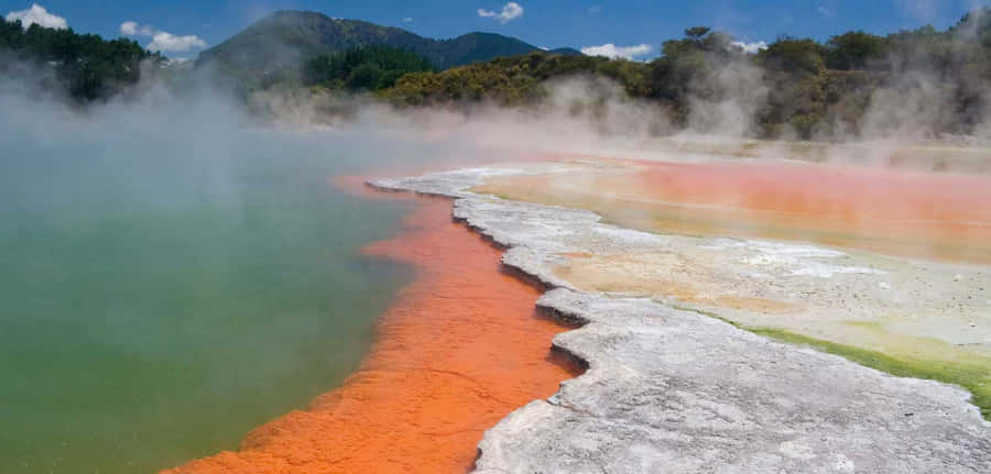 Rotorua Fond d'écran