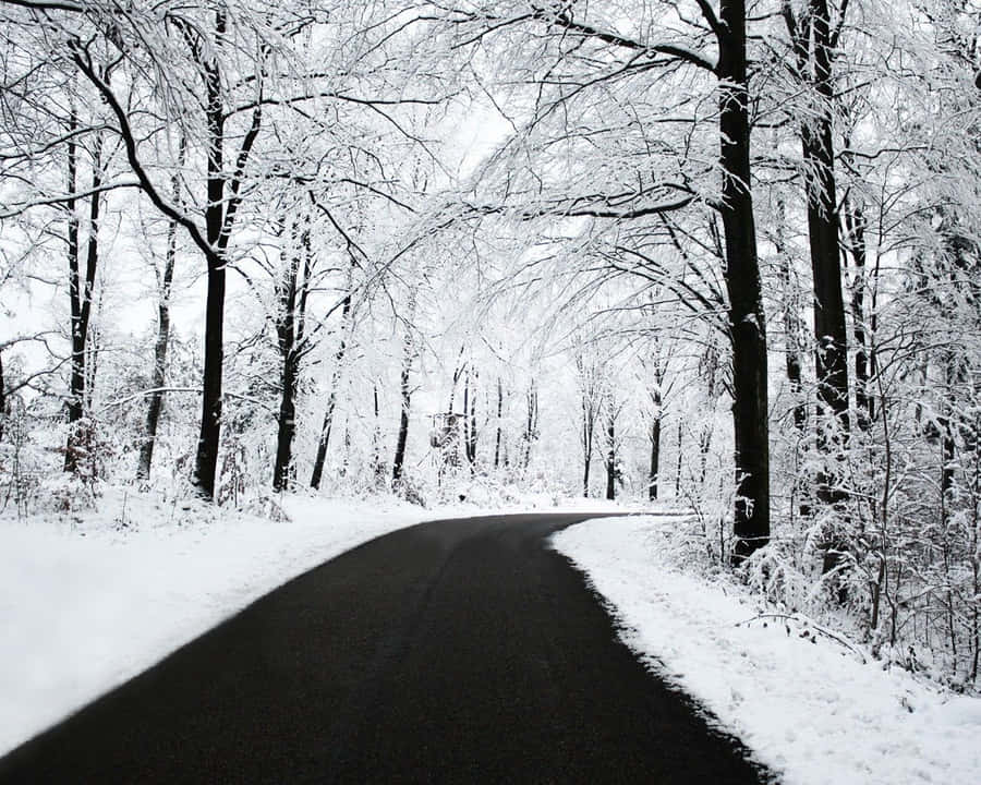 Route Glacée Fond d'écran