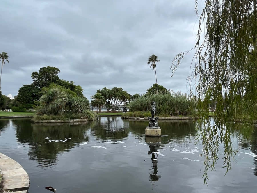 Royal Botanic Garden Sydney Fond d'écran