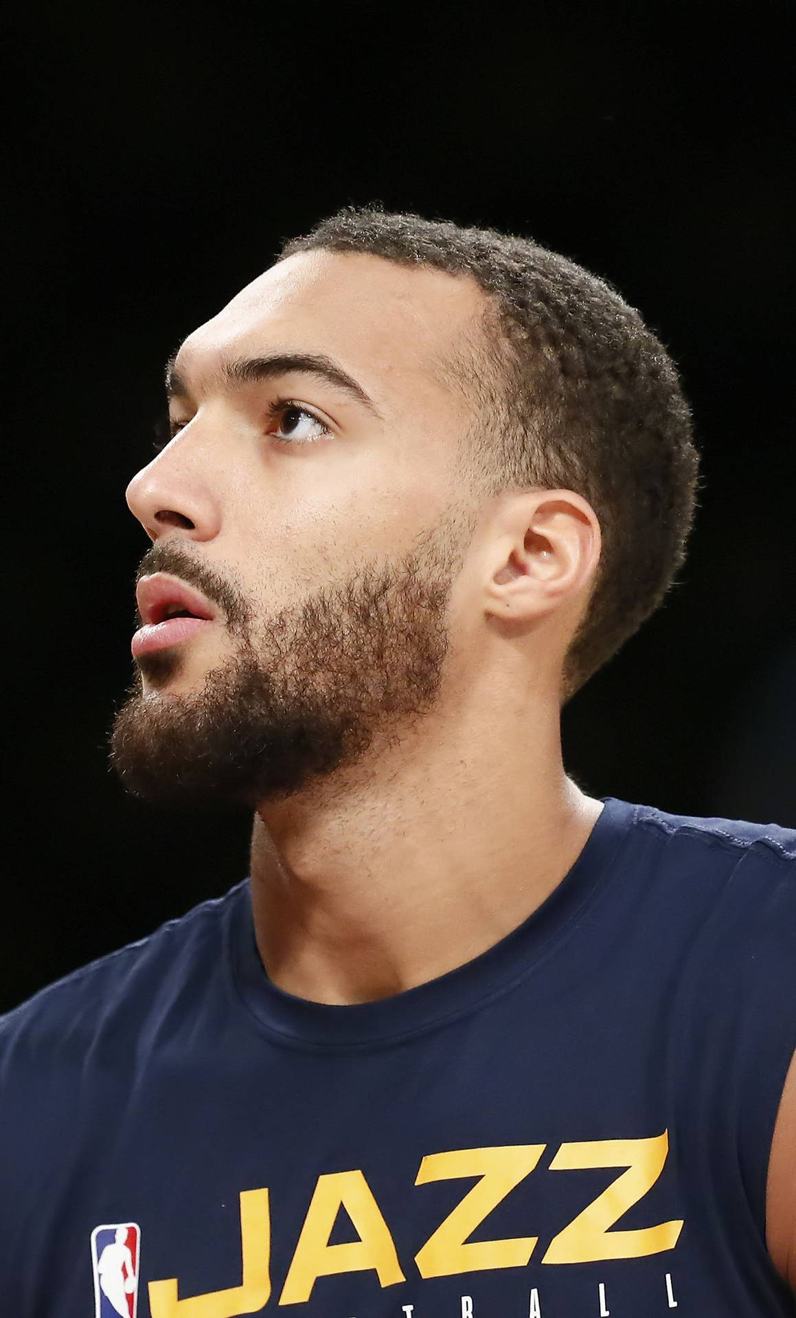 Rudy Gobert Taustakuva