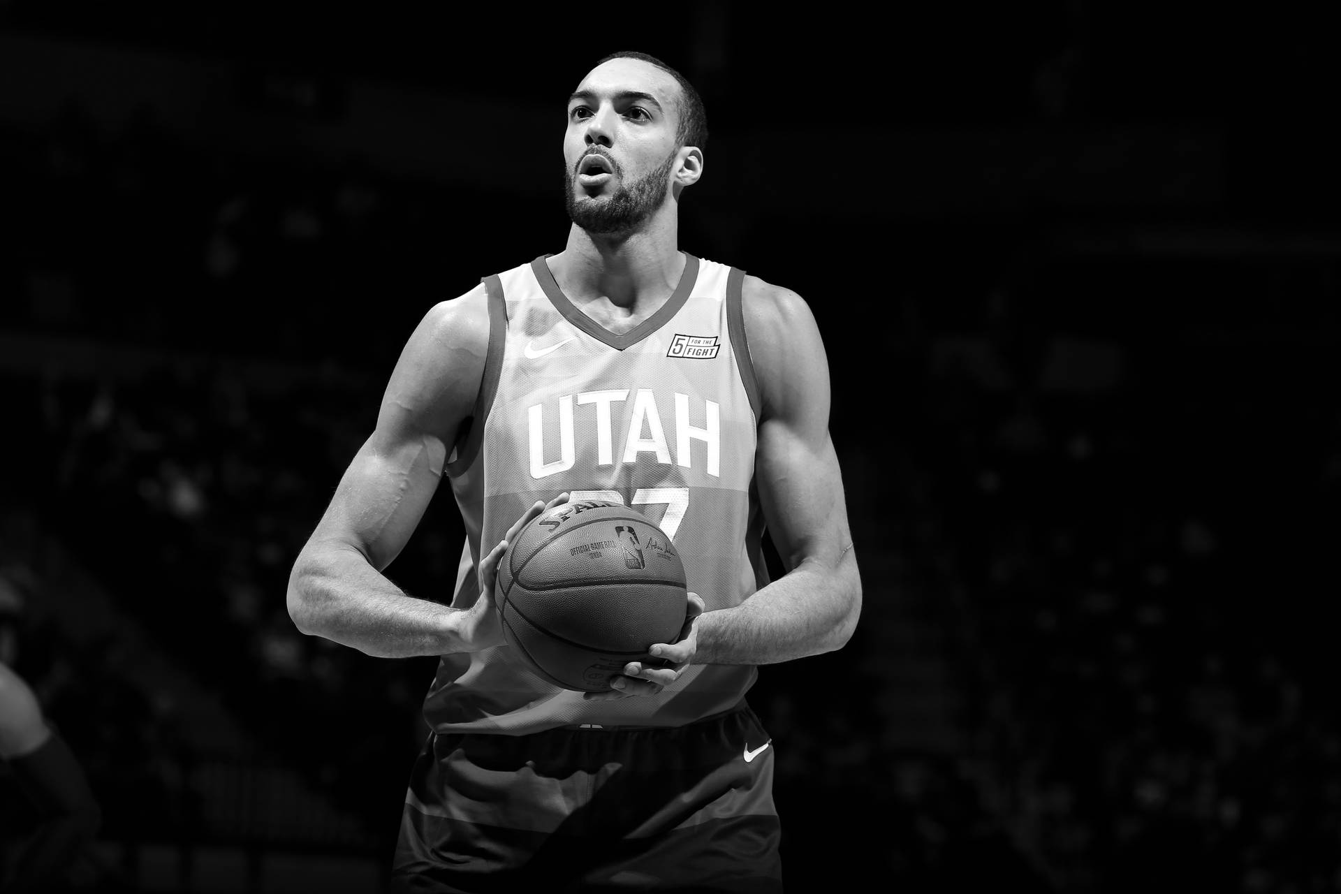 Rudy Gobert Fond d'écran