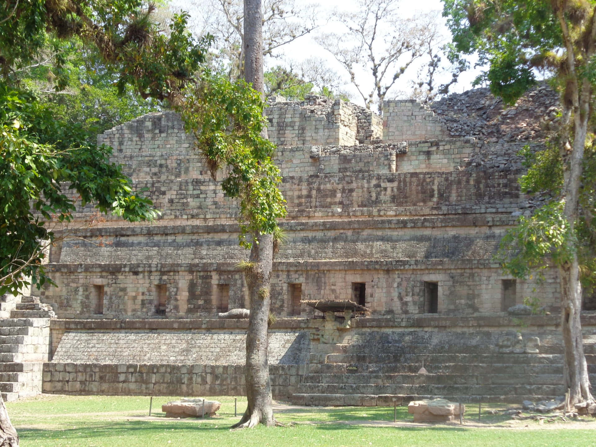 Ruines Mayas De Copan Fond d'écran