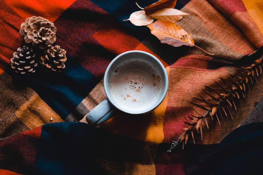 A steaming mug of cocoa on a colorful plaid blanket with pinecones and leaves. — Rustic Fall Wallpaper