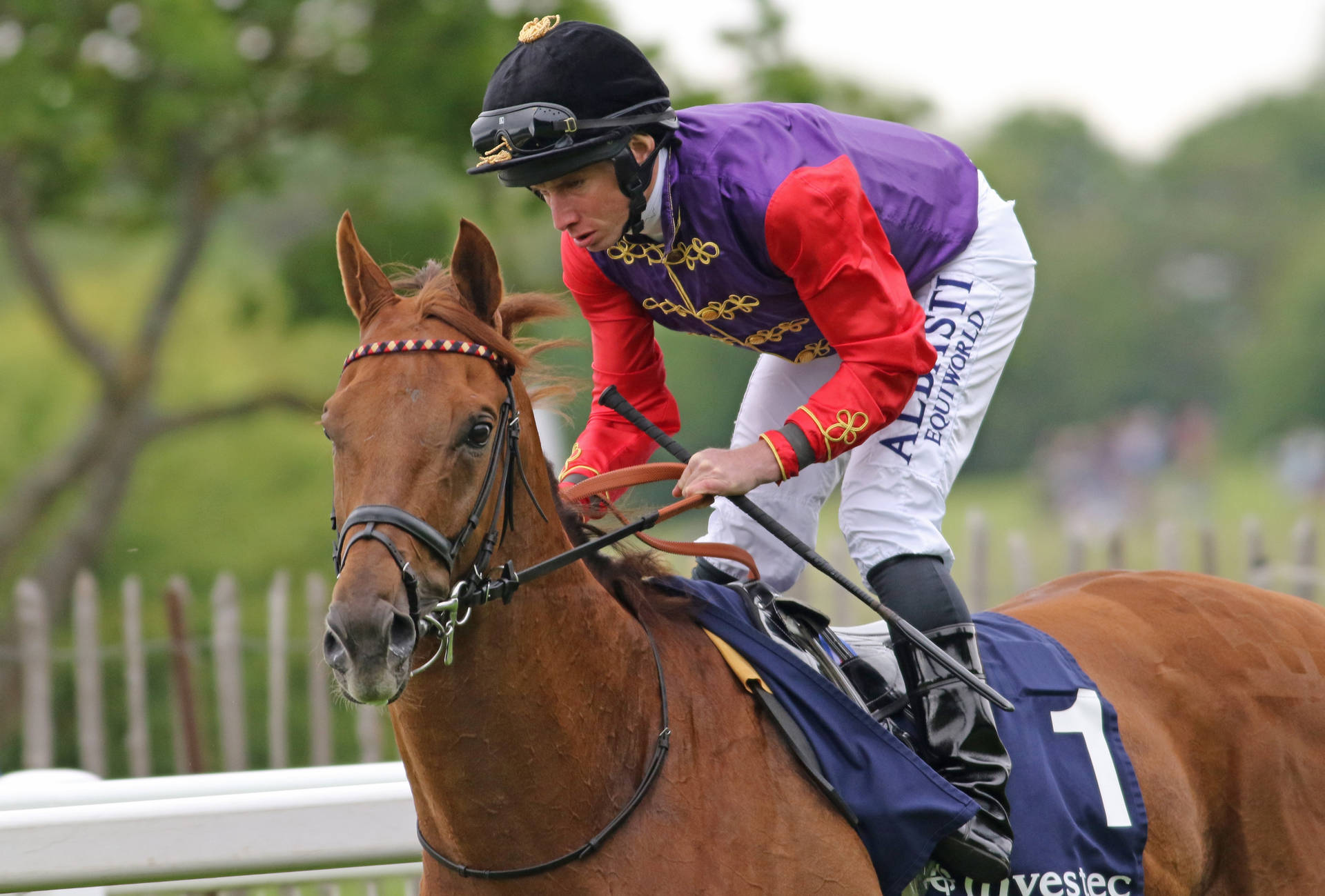 Ryan Moore Fondo de pantalla