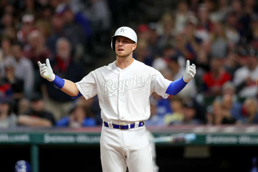 Ryan O'hearn Fondo de pantalla