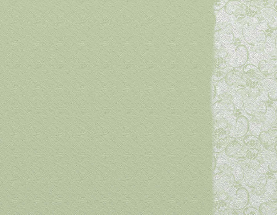 Sage Green Background Wallpaper