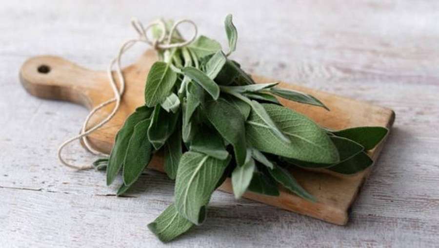 Ramo de salvia fresca atado con cordel sobre una tabla de cortar de madera. — Sage Fondos de pantalla