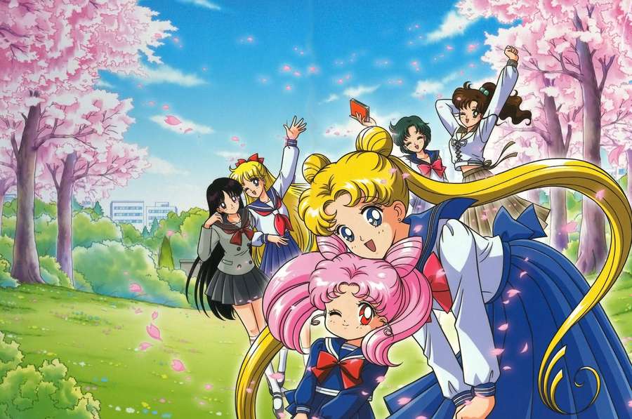 Sailor Moon y amigos celebran bajo los cerezos en flor en un parque soleado. — Sailor Moon Fondos de pantalla