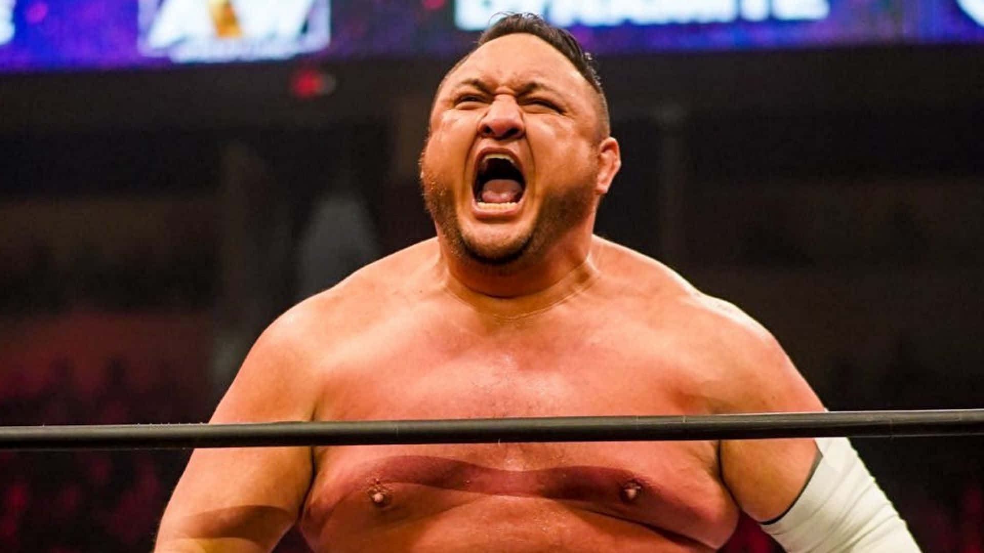 Samoa Joe Fond d'écran