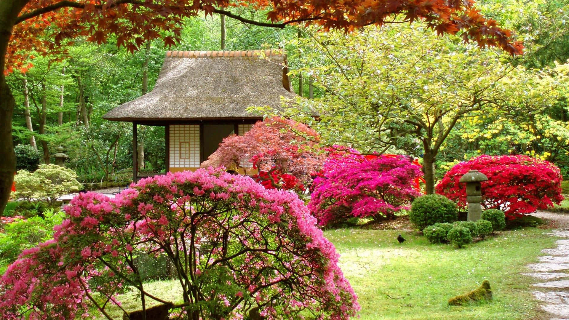 Samurai Garden Wallpaper