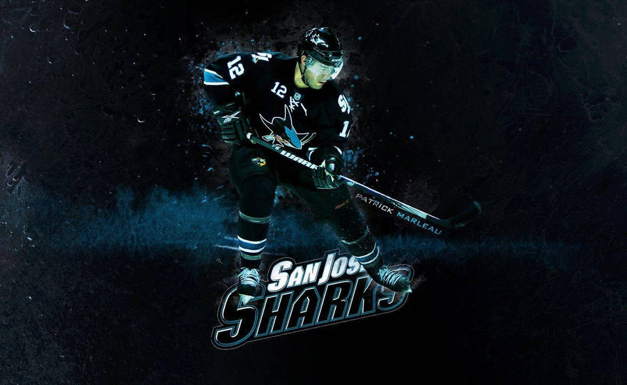 San Jose Sharks Wallpaper