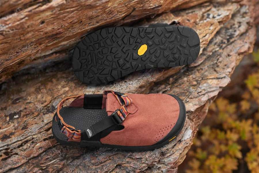 Brown suede sandals with black straps on a tree trunk with fall leaves. — Sandals Wallpaper