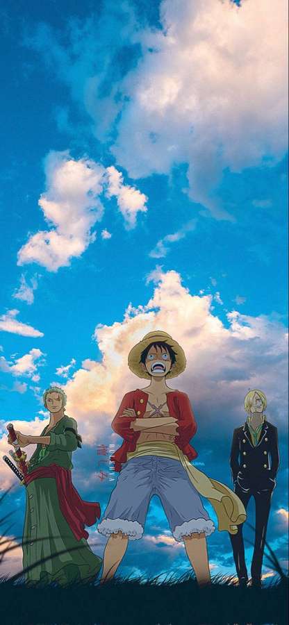Drei Anime-Charaktere stehen im Gras unter einem bewölkten Himmel. — Sanji Bilder