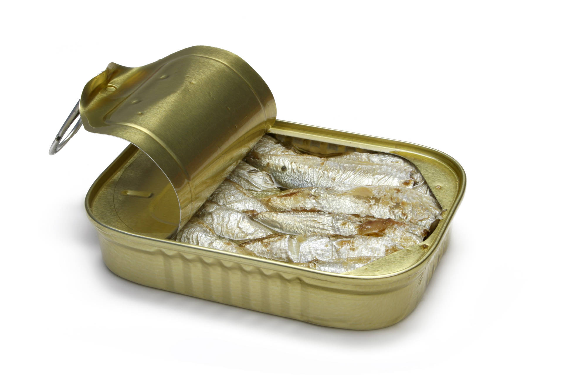 Sardines Fond d'écran
