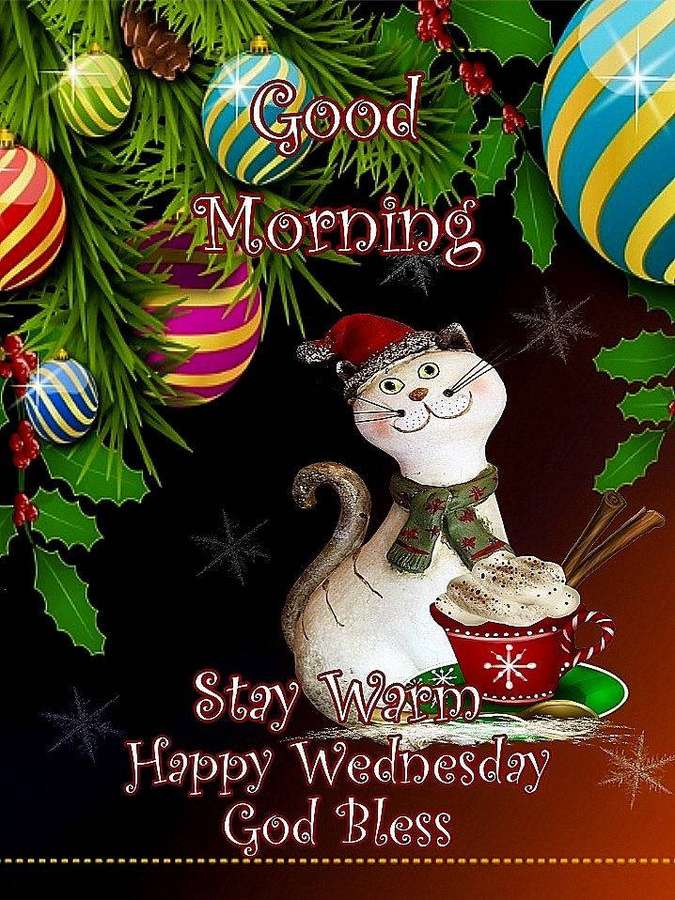 Um gato de desenho animado usando gorro de Papai Noel e cachecol ao lado de uma caneca de chocolate quente com decorações natalinas. — Saudações Papéis de Parede
