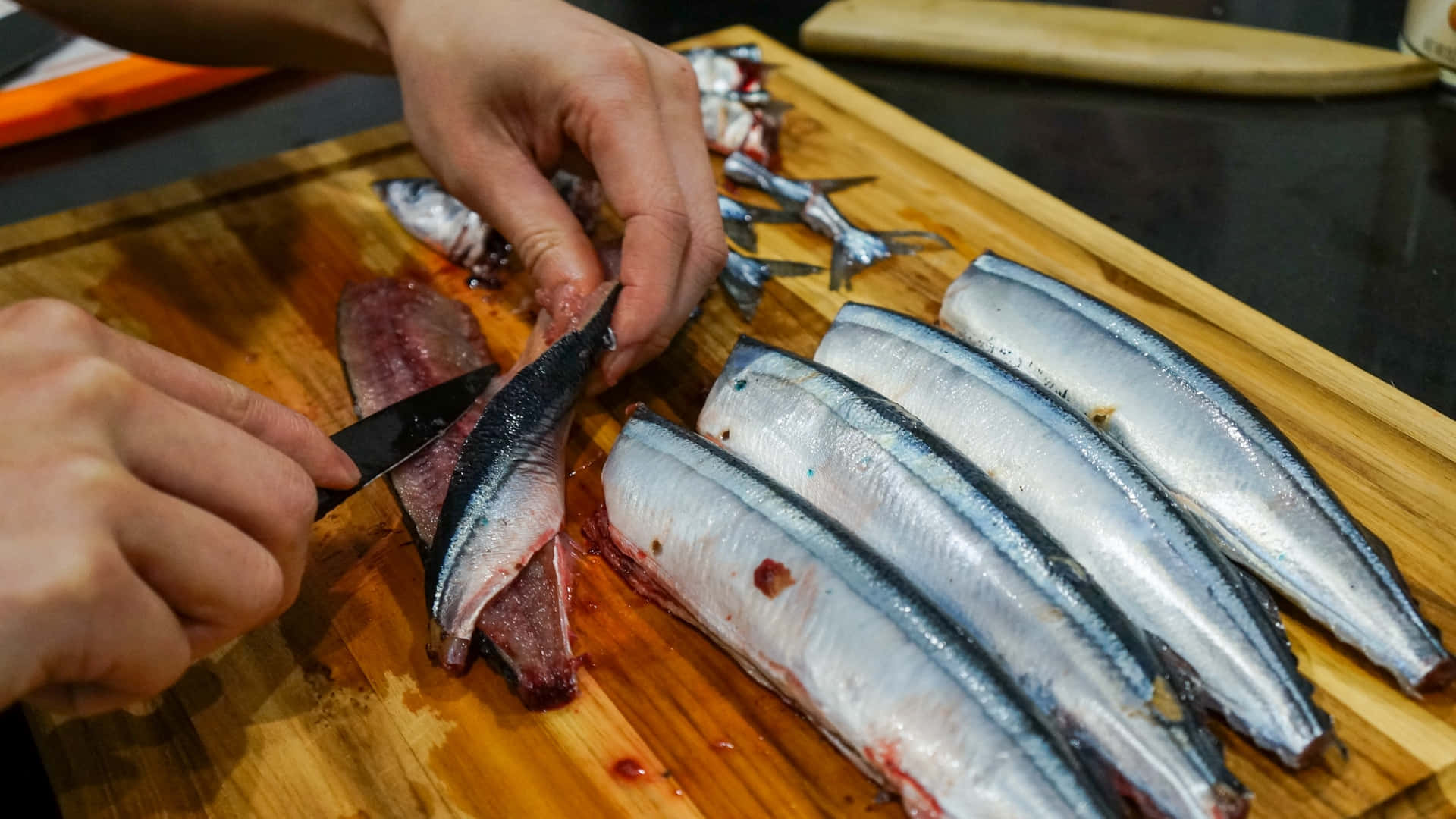 Saury Pacifique Fond d'écran