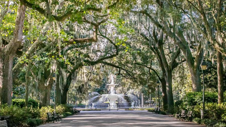A tree-lined park path with a central fountain and benches under dappled sunlight. — Savannah Background